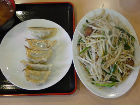 f:id:kaccinster:20090531115533j:image:left:w180