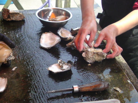 f:id:kaccinster:20090627134805j:image:left:w180