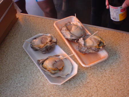 f:id:kaccinster:20090627135025j:image:left:w180