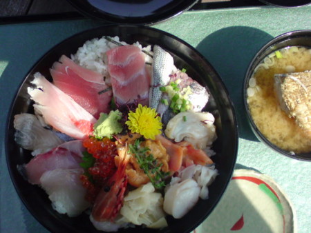 f:id:kaccinster:20090627142357j:image:left:w180