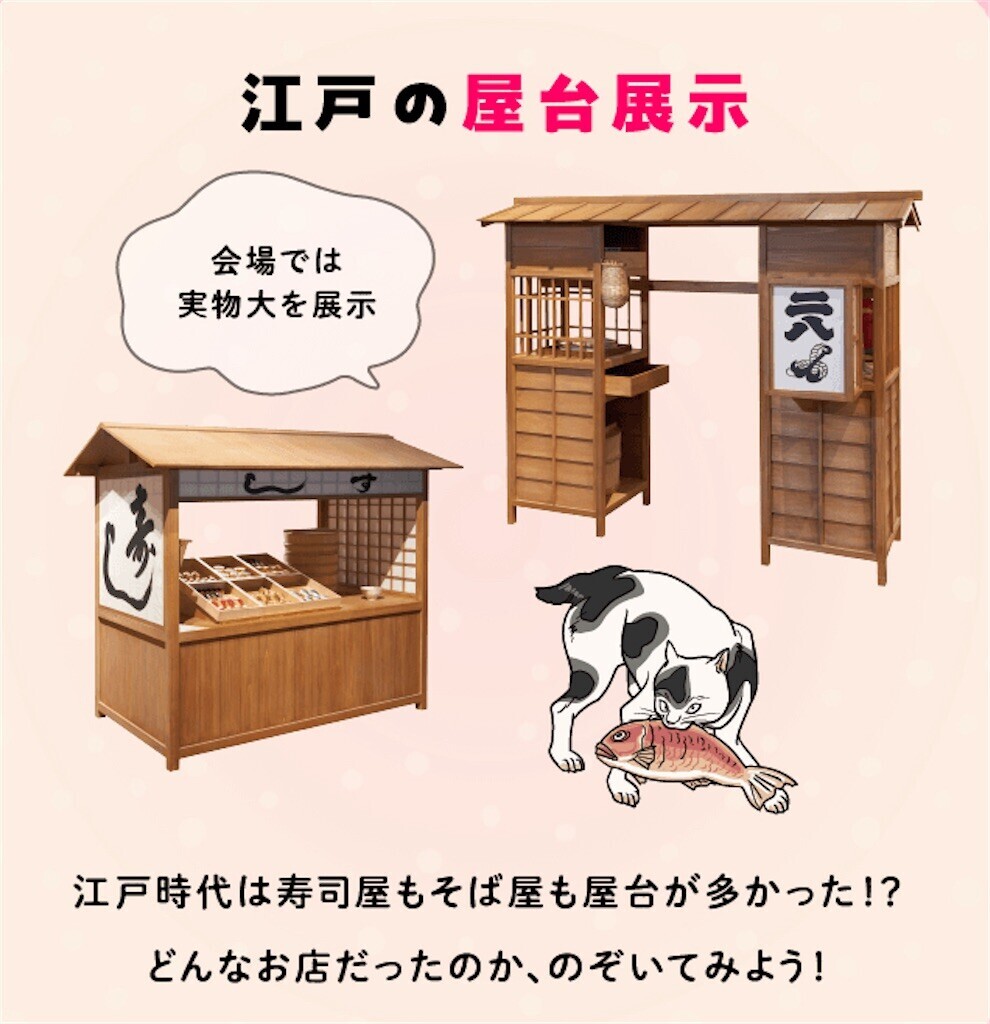 f:id:kaccinster:20240822010409j:image