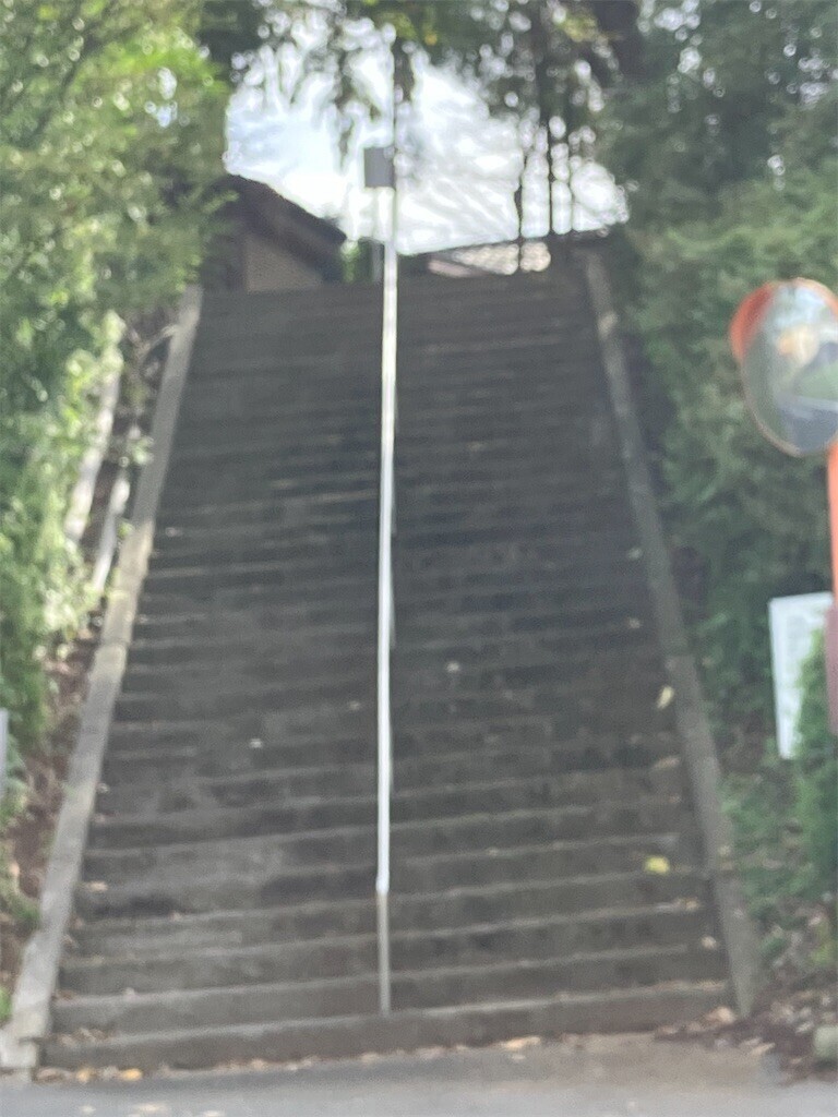 f:id:kaccinster:20241031153005j:image