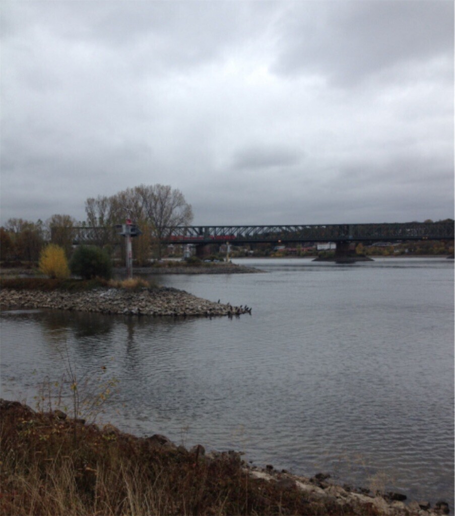 f:id:kaccinster:20250708103558j:image