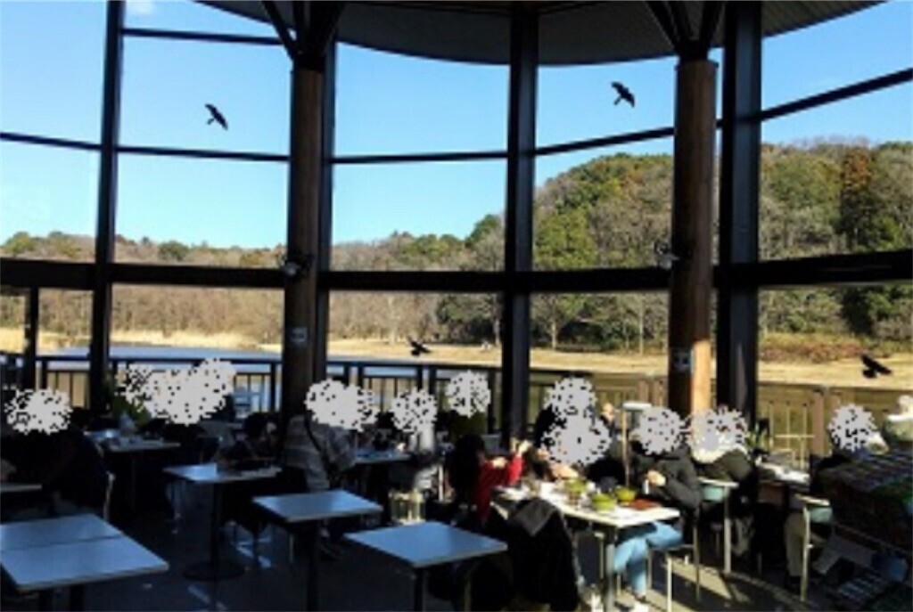 f:id:kaccinster:20260109180710j:image