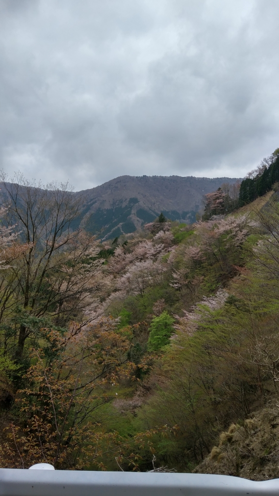 f:id:kacharinco:20170506182050j:plain f:id:kacharinco:20170506182050j:plain