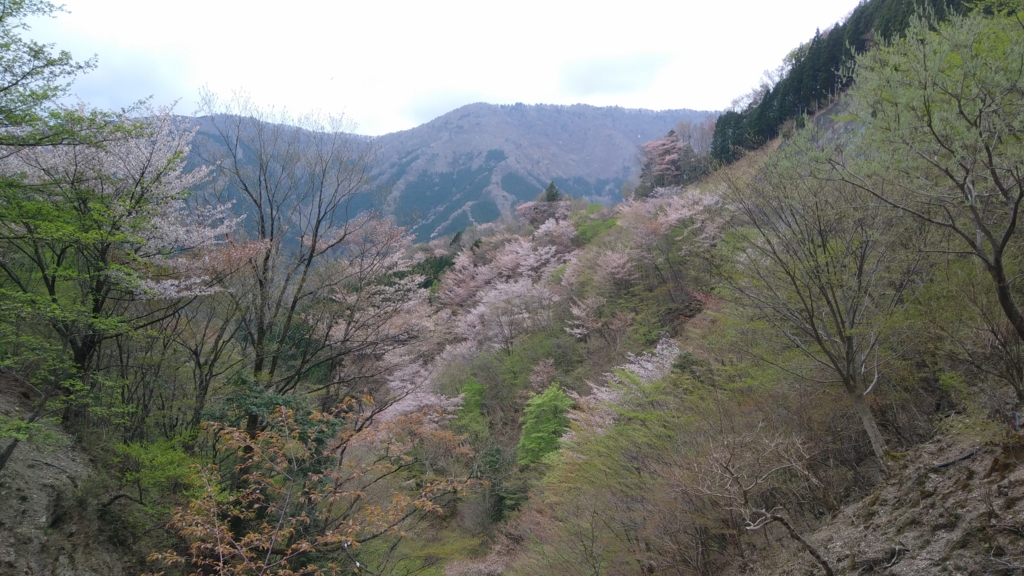 f:id:kacharinco:20170506182141j:plain f:id:kacharinco:20170506182141j:plain