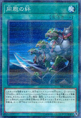 コンボ集 アトラの巣