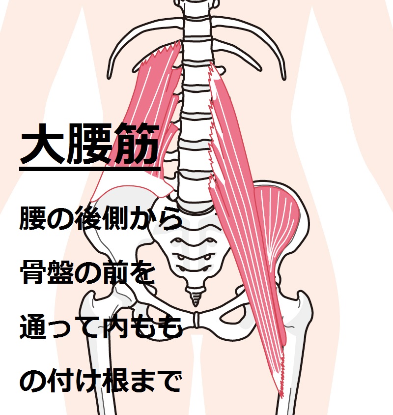 f:id:kachidokilife:20181209190402j:plain