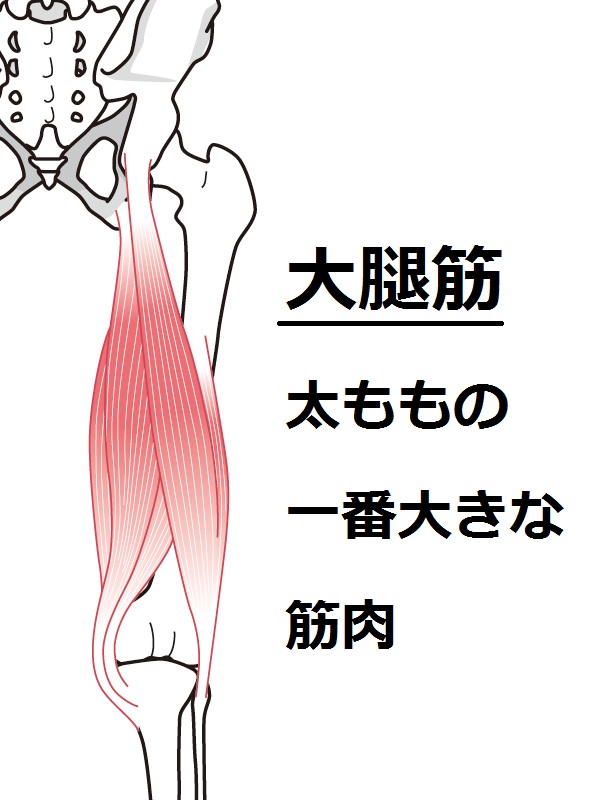 f:id:kachidokilife:20181209190407j:plain