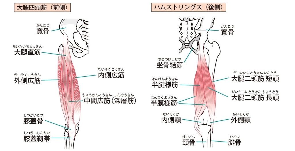 f:id:kachidokilife:20190211231853j:plain f:id:kachidokilife:20190211231853j:plain