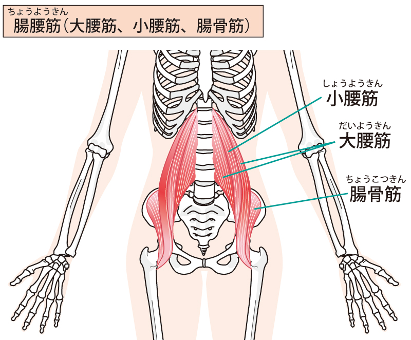 f:id:kachidokilife:20190211232153j:plain f:id:kachidokilife:20190211232153j:plain