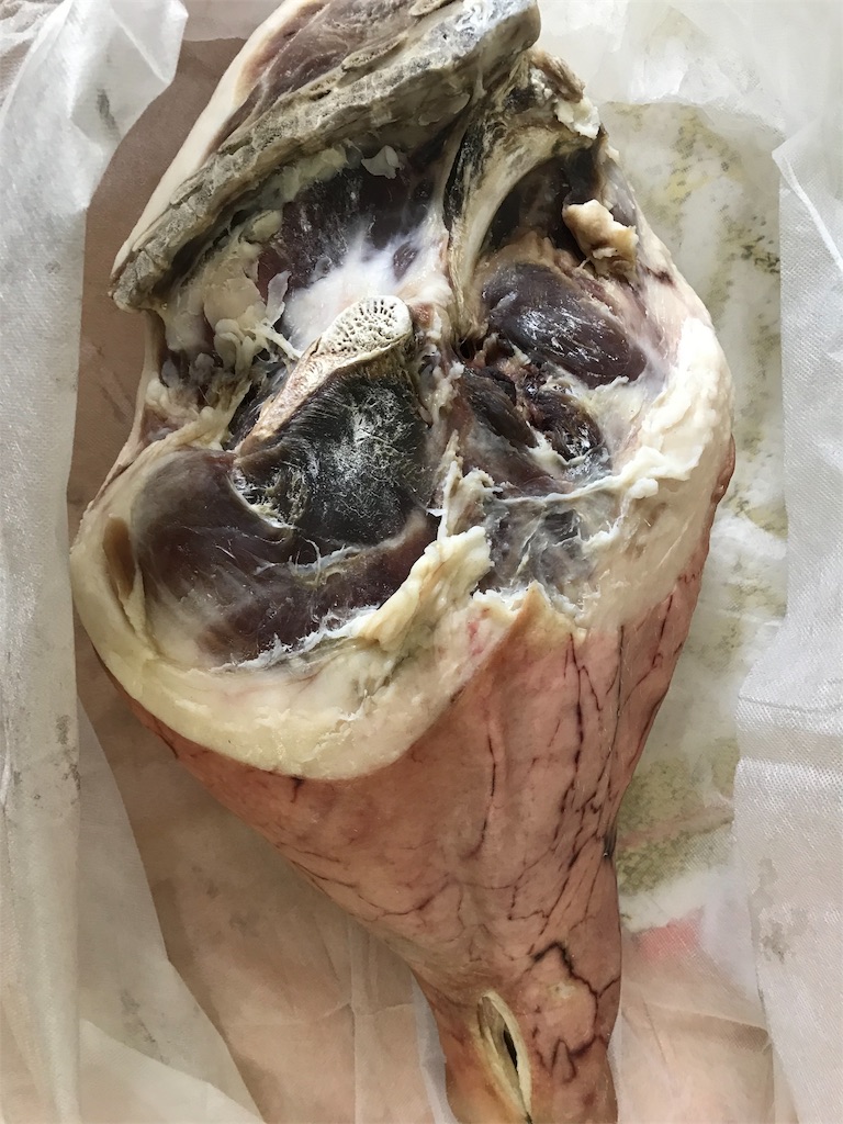 f:id:kachidokilife:20190217143011j:image