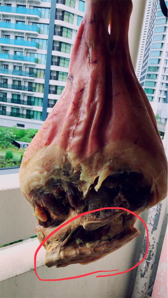 f:id:kachidokilife:20190623234646j:image