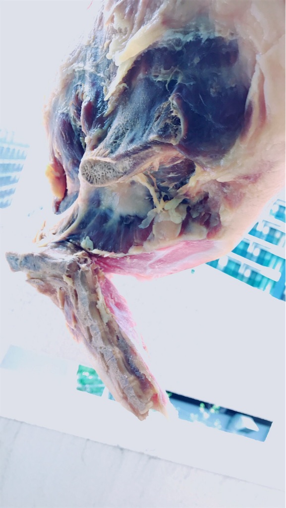 f:id:kachidokilife:20190623234717j:image