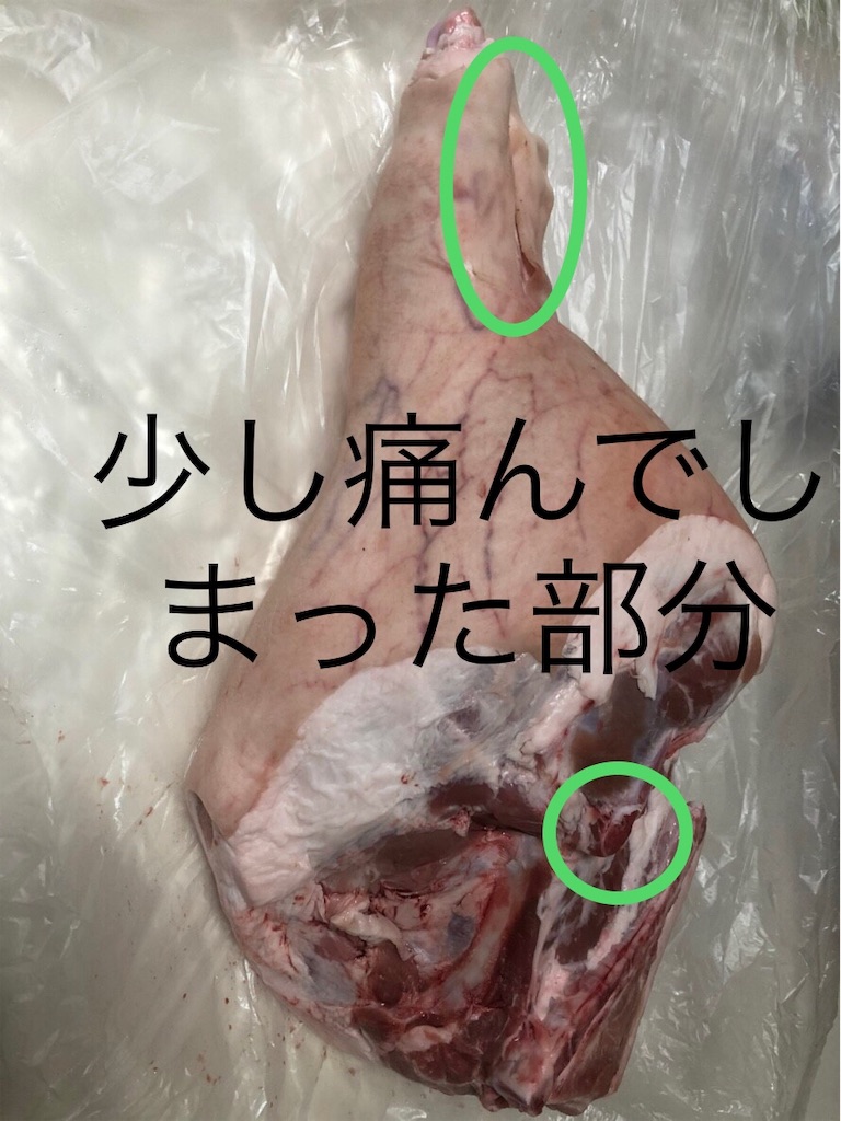 f:id:kachidokilife:20190703210045j:image