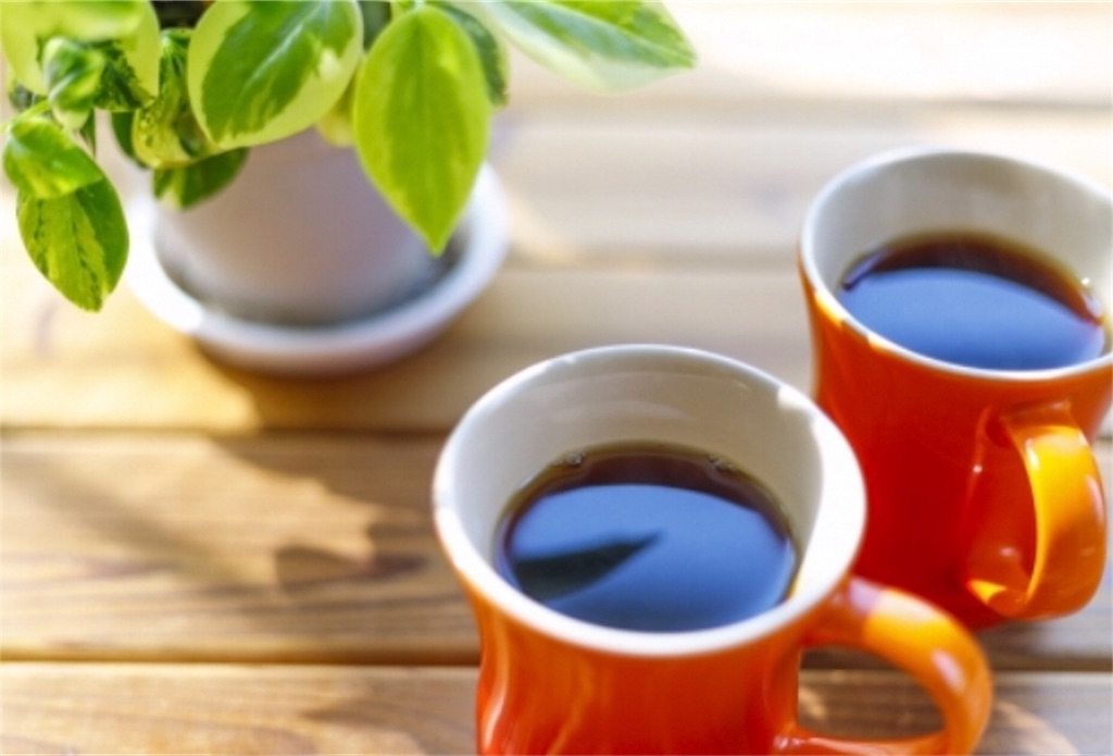 f:id:kachidokilife:20190910123028j:image f:id:kachidokilife:20190910123028j:image