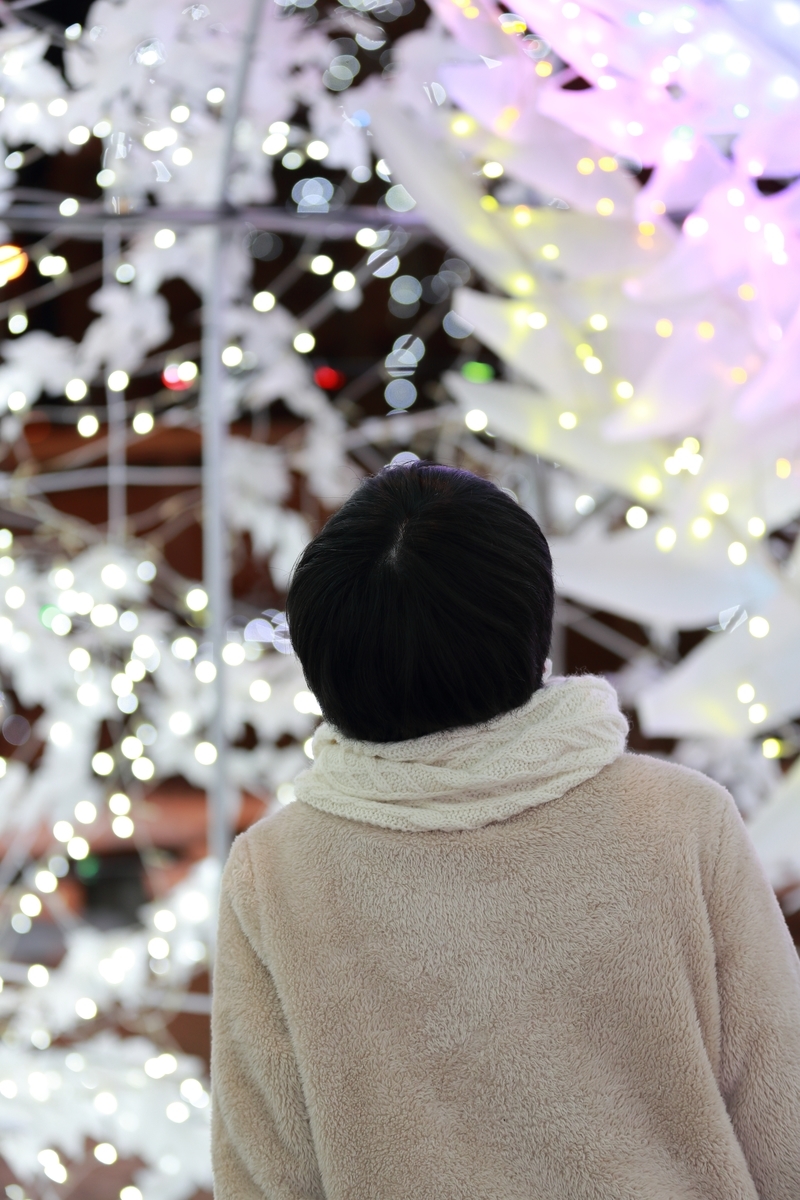 f:id:kachiko_h:20200128201818j:plain