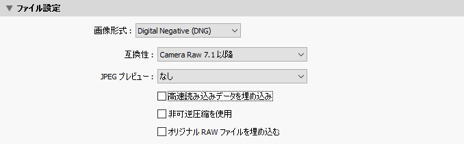 Adobe Lightroom Classic CC DNG export