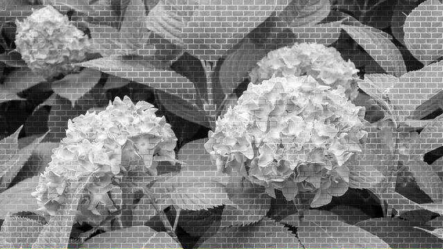 f:id:kachine:20190802233313p:plain f:id:kachine:20190802233313p:plain