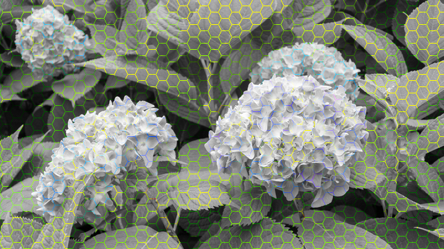 f:id:kachine:20190802233421p:plain f:id:kachine:20190802233421p:plain