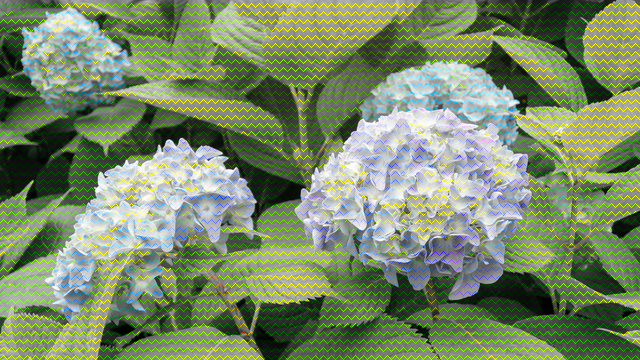 f:id:kachine:20190802233449p:plain f:id:kachine:20190802233449p:plain