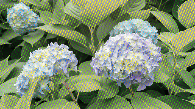 f:id:kachine:20190802233541p:plain f:id:kachine:20190802233541p:plain