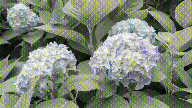 f:id:kachine:20190802233801p:plain f:id:kachine:20190802233801p:plain