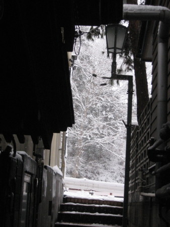 f:id:kachira:20110102074521j:image f:id:kachira:20110102074521j:image