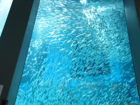 f:id:kachira:20111230163530j:image f:id:kachira:20111230163530j:image