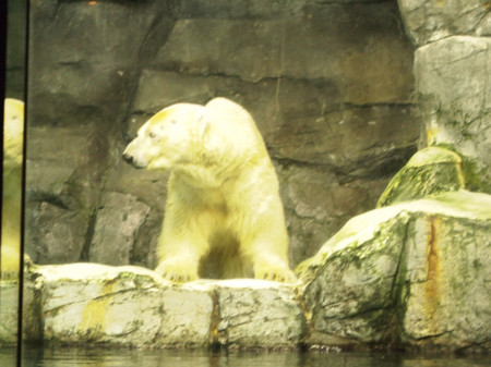 f:id:kachira:20111230164230j:image f:id:kachira:20111230164230j:image