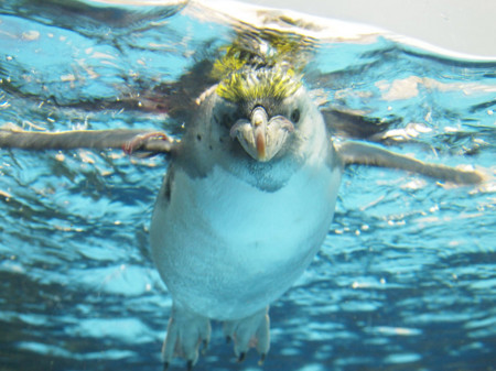 f:id:kachira:20111230164711j:image f:id:kachira:20111230164711j:image