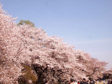 f:id:kachira:20120412150034j:image f:id:kachira:20120412150034j:image