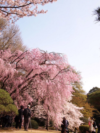 f:id:kachira:20120412150657j:image f:id:kachira:20120412150657j:image