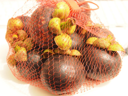 f:id:kachira:20120513033127j:image f:id:kachira:20120513033127j:image