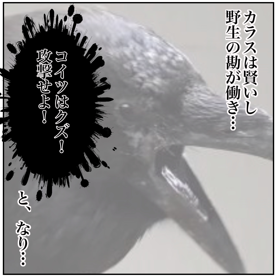 f:id:kaco-matsu:20200210190608j:plain f:id:kaco-matsu:20200210190608j:plain