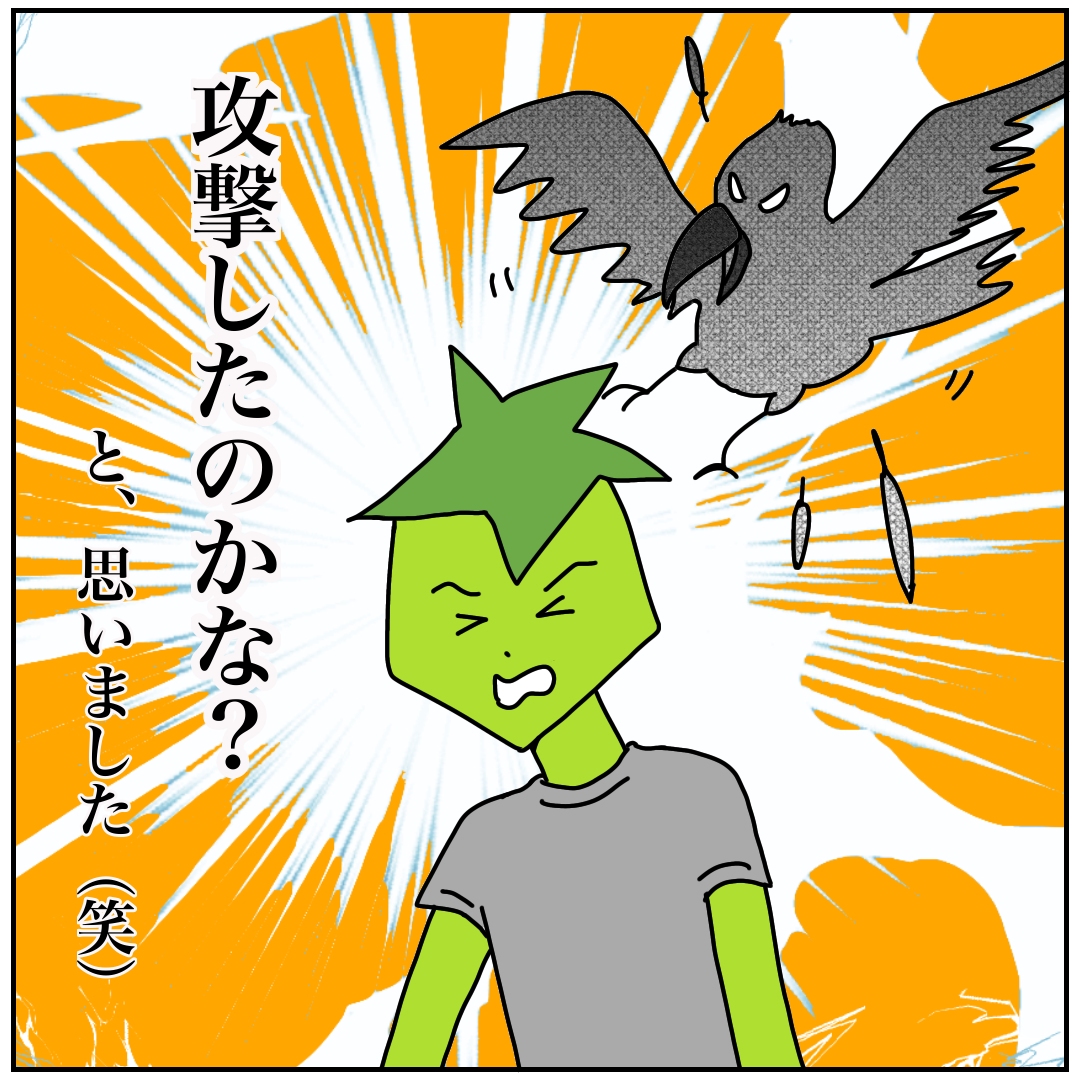 f:id:kaco-matsu:20200210190622j:plain f:id:kaco-matsu:20200210190622j:plain