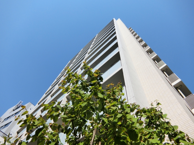 f:id:kadhinaru:20180312222350j:plain f:id:kadhinaru:20180312222350j:plain