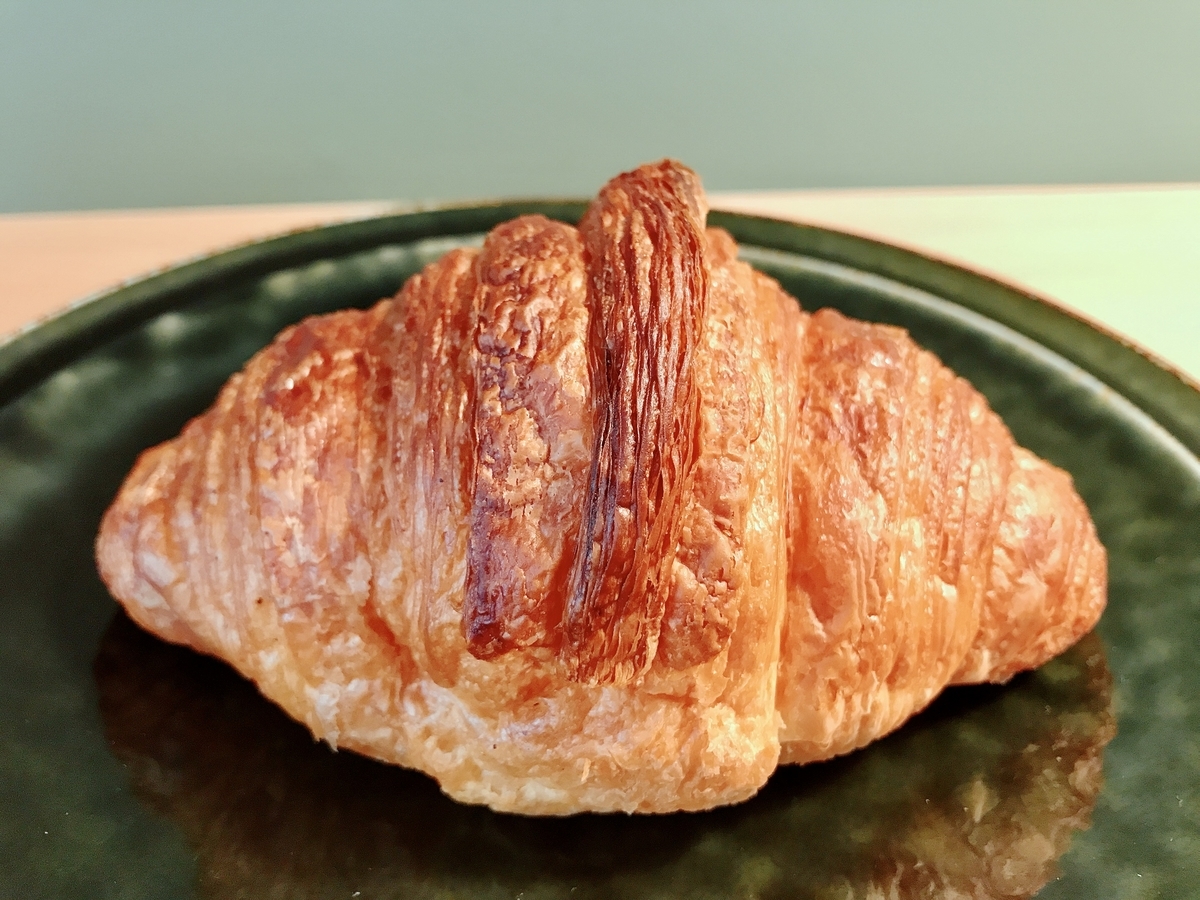 f:id:kadhinaru:20201113235139j:plain