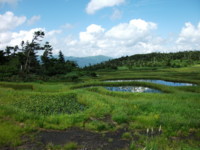 f:id:kadokichi01:20120819013801j:image f:id:kadokichi01:20120819013801j:image