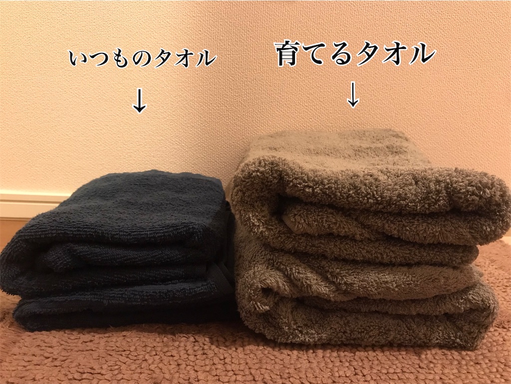 f:id:kadomix:20210311162805j:image
