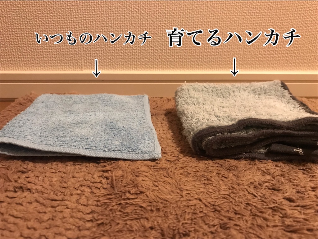 f:id:kadomix:20210311163058j:image