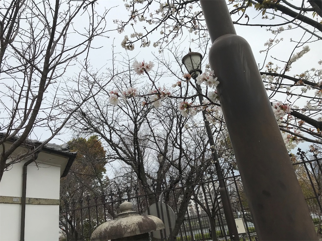 f:id:kadomix:20210319163452j:image