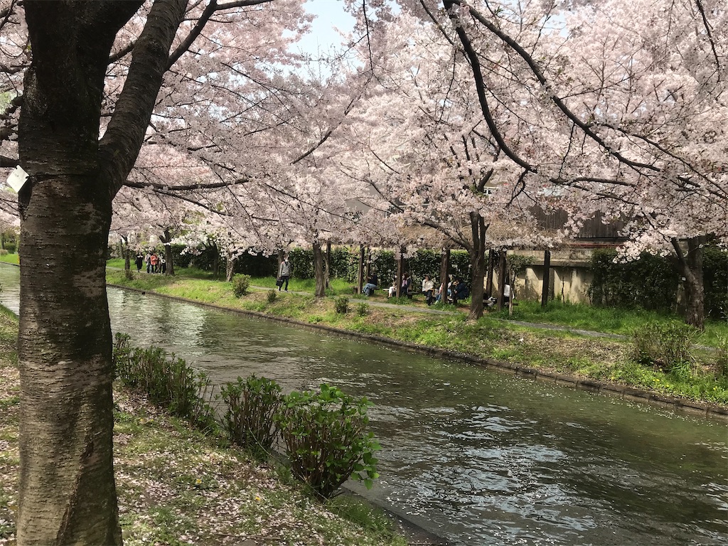 f:id:kadomix:20210331164450j:image