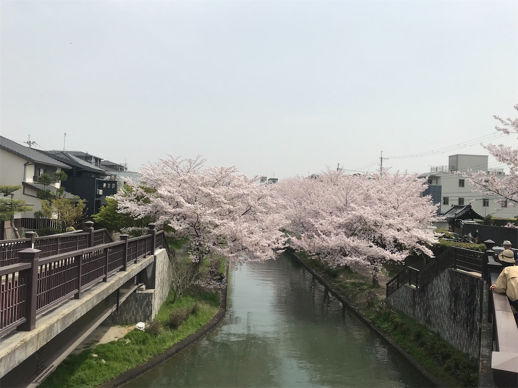 f:id:kadomix:20210331164534j:image