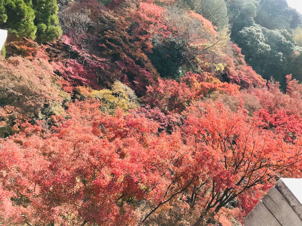 f:id:kadomix:20211126091750j:image