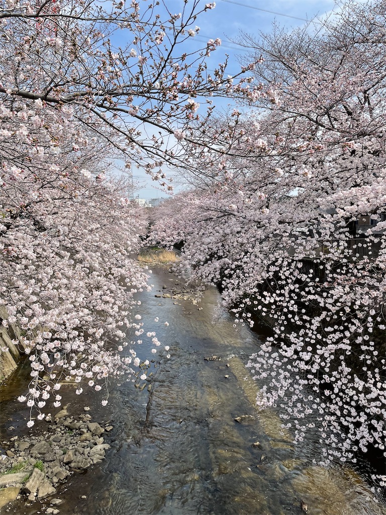 f:id:kadomix:20220329105656j:image