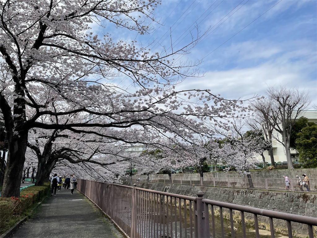 f:id:kadomix:20220329105714j:image