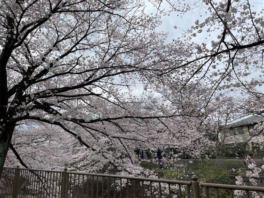 f:id:kadomix:20220329105723j:image