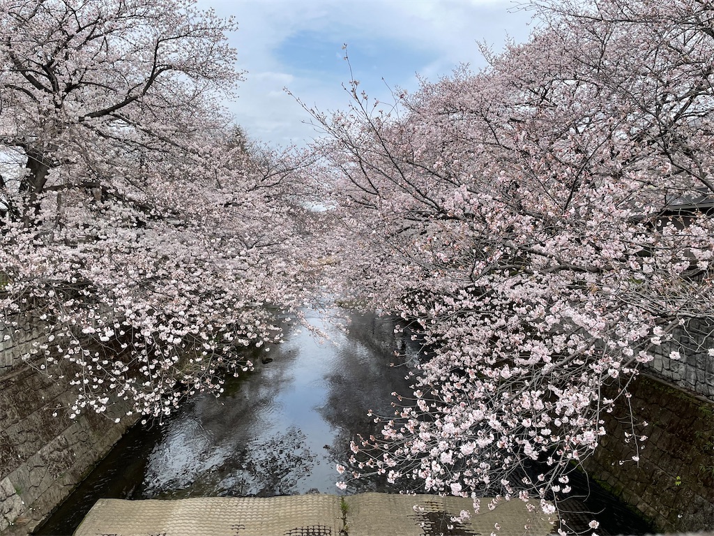 f:id:kadomix:20220329105742j:image