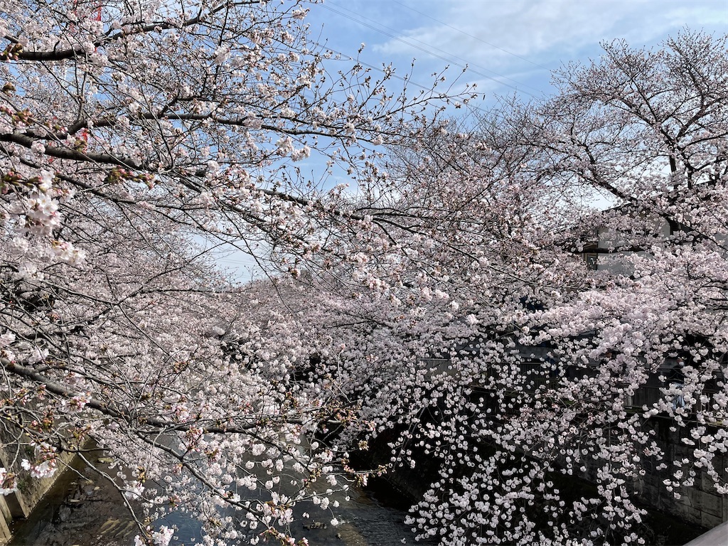 f:id:kadomix:20220329105751j:image
